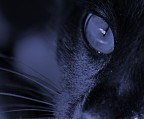 Immagine nata per caso e elaborata ancora + in confusione:
nata come prova HDR  stat poi colorizzata.
Mi fa uno strano effetto, un po' inquietante, ma tecnicamente qualcosa non mi convince.

Spero faccia discutere, mi date un giudizio e una critica?