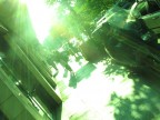 viale ippocrate