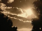 era una foto a colori e successivamente modificata....molto lucente....