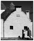 ALBEROBELLO 1