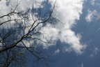 verso il cielo