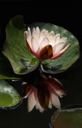 luce nel buio