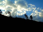 cielo...