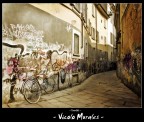- Vicolo Murales - - Vicolo Murales -