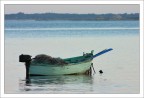 300D + Tamron 70-300 f4-5,6 LD