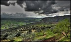 Tra una pioggia e l'altra