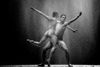 danza 2