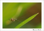 Al lavoro