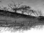 riflessi...