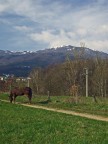 Paesaggio