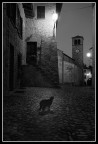 Il gatto di Vigoleno
