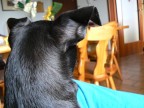 her point of view...