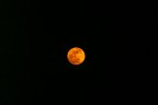 GUARDA CHE LUNA...