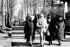 Passeggaita all'olmata