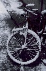 ai voluto la bici!..............pedala