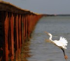 Volo sul pontile