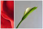 Composition #1