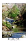 torrente