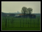 Foschia in Valpadana