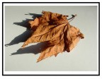 L'autunno