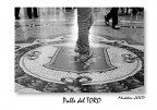 palle del toro