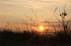 Dune sul Mar Baltico