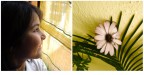 Marinella, 6 anni, nipotina di una mia amica..abbiamo passato un bel po' di tempo a giocare con la macchina...tanti ritratti per lei ed in fine un esercizio applicativo! :) come fotografare un fiore in macro (...guarda caso..:-P )..La margheritina che vedete l'ha scattata lei infatti!!..taglio e post miei, naturalmente....
La fotografia  prima di tutto un bel gioco! :-)