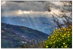 un cielo luminoso, uno sfondo illuminato, un primo piano un po scuro.. 
provato un hdr da singolo raw.
graditi commenti.