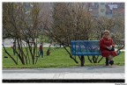 Al parco1