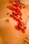american beauty