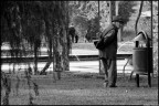 Al parco4