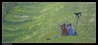 Birdwatching