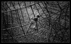 Geometric Climber