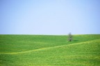 toscana1