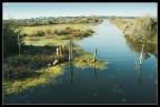 Barriere d'acqua (Parco dell'Uccellina#1)