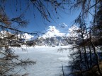 Engadina