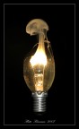 light bulb