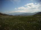 IMMAGINE DI PASQUETTA 2007
Si accettano commenti e consigli