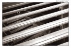 Linee