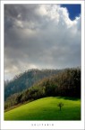 solitario