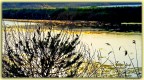 C' dell'oro in valle.............