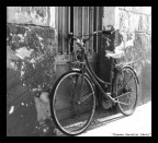 ciclo