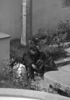 Pensieri