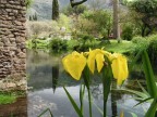 Ninfa - Latina