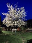 S9600
Iso 100
f.4,5
10s