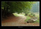 il sentiero