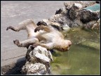 Un attimo di relax in piscina... :-)