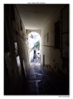 ...tardi, tardissimo....rischiamo di perdere il traghetto!...ma qualcuno non ha la nostra stessa fretta e placidamene si gode la sua isola...