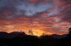 Alba