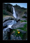 Voices of the Waterfall